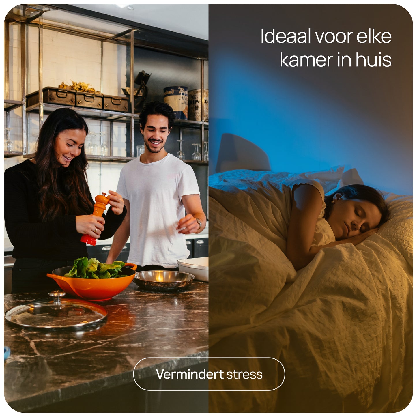 muggen buiten