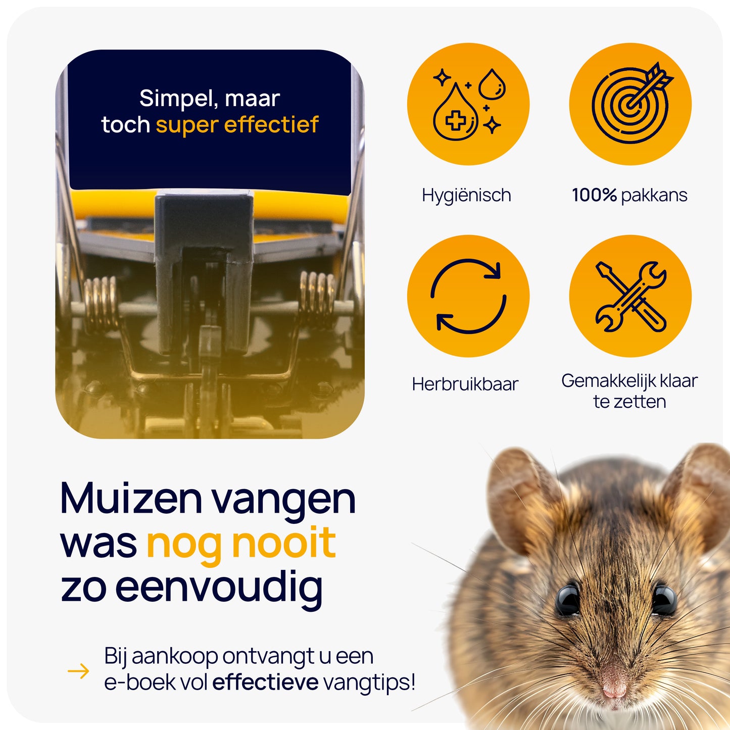 muizen bestrijden