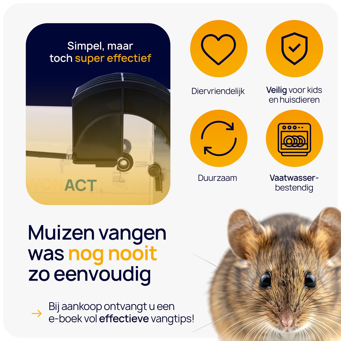 humaan muizen vangen
