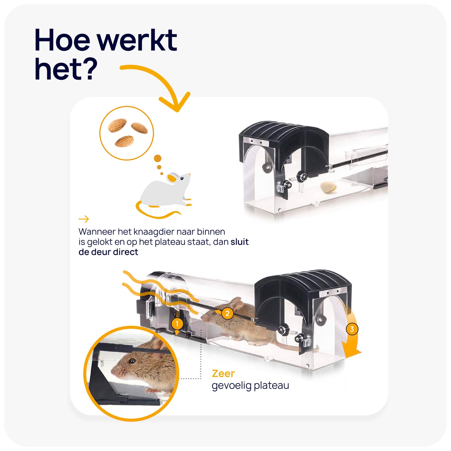muizenval zetten