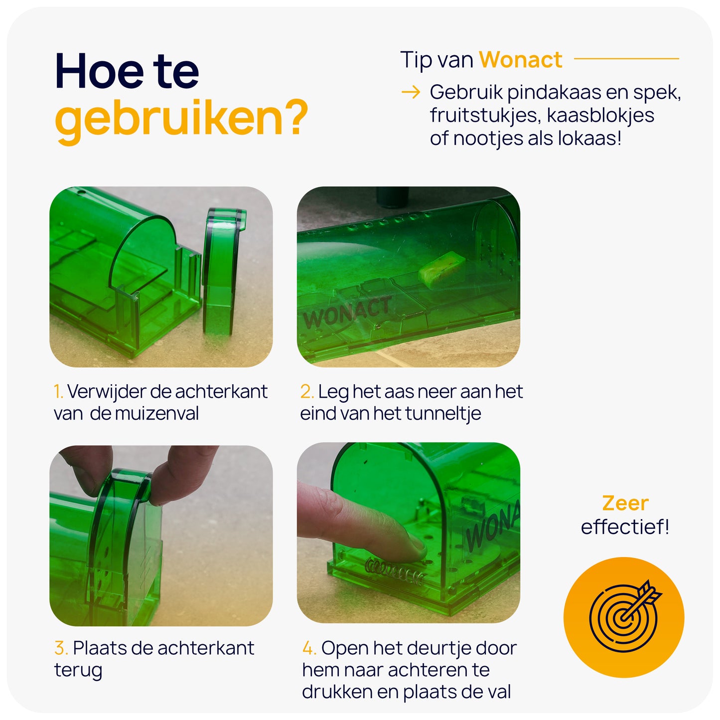 muizen in huis