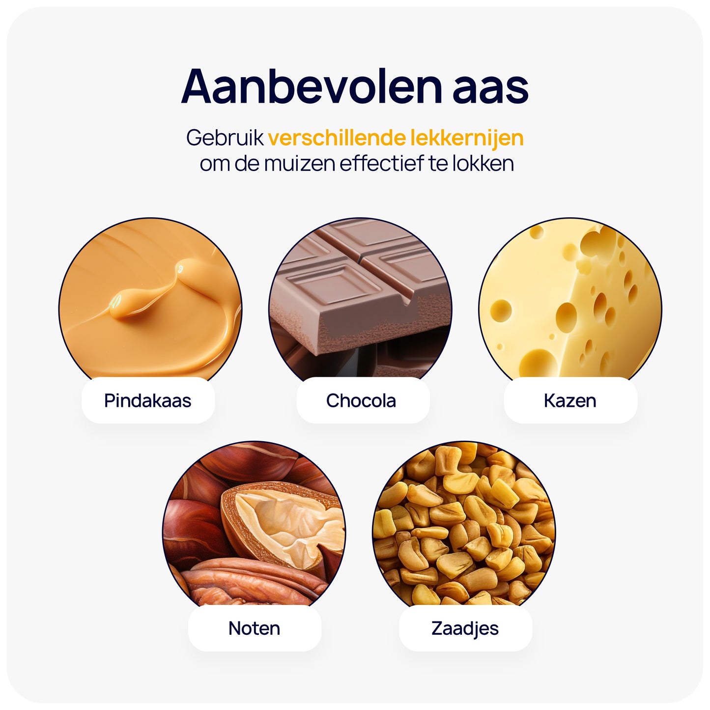 lokaas diervriendelijk muizen vangen