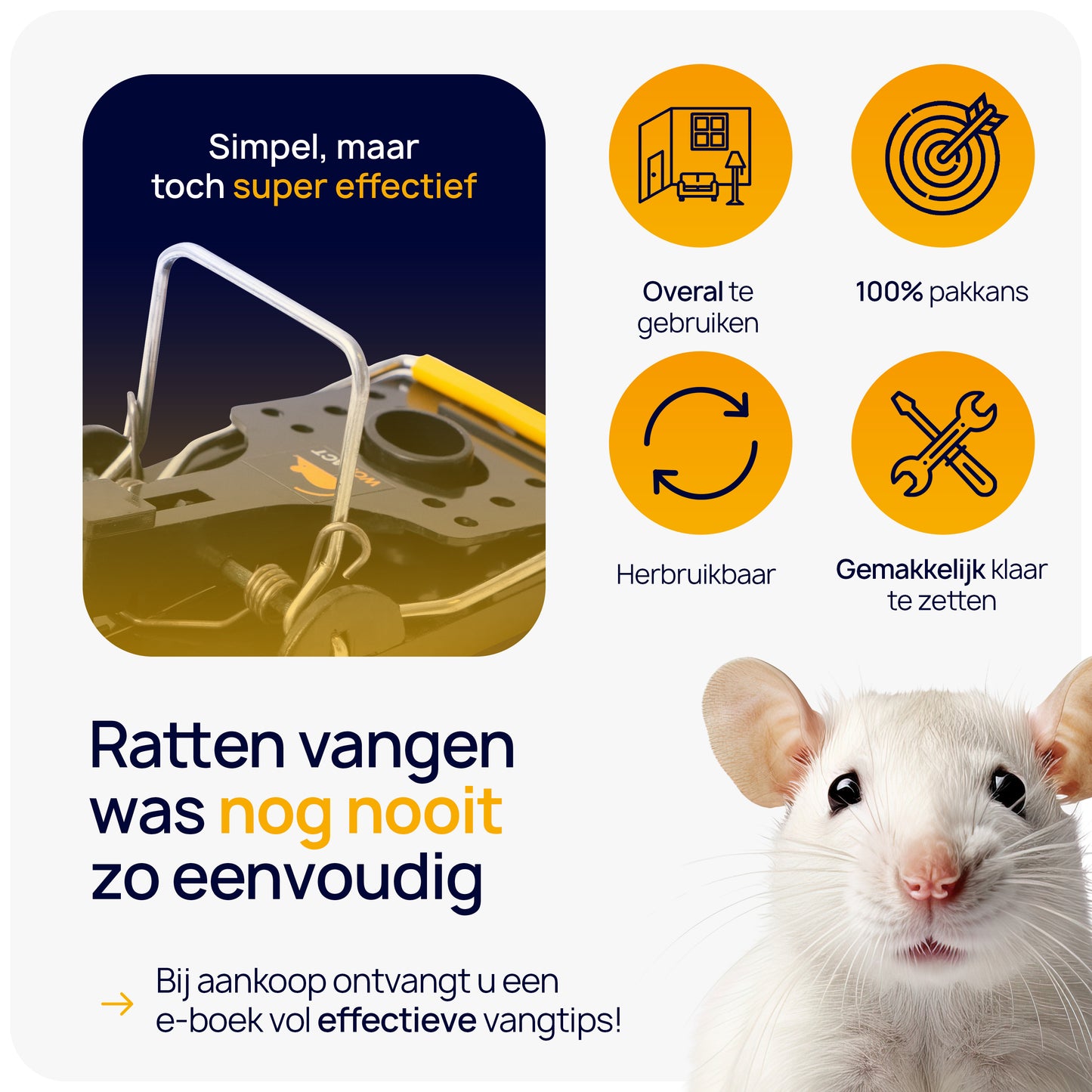 ratten vangen