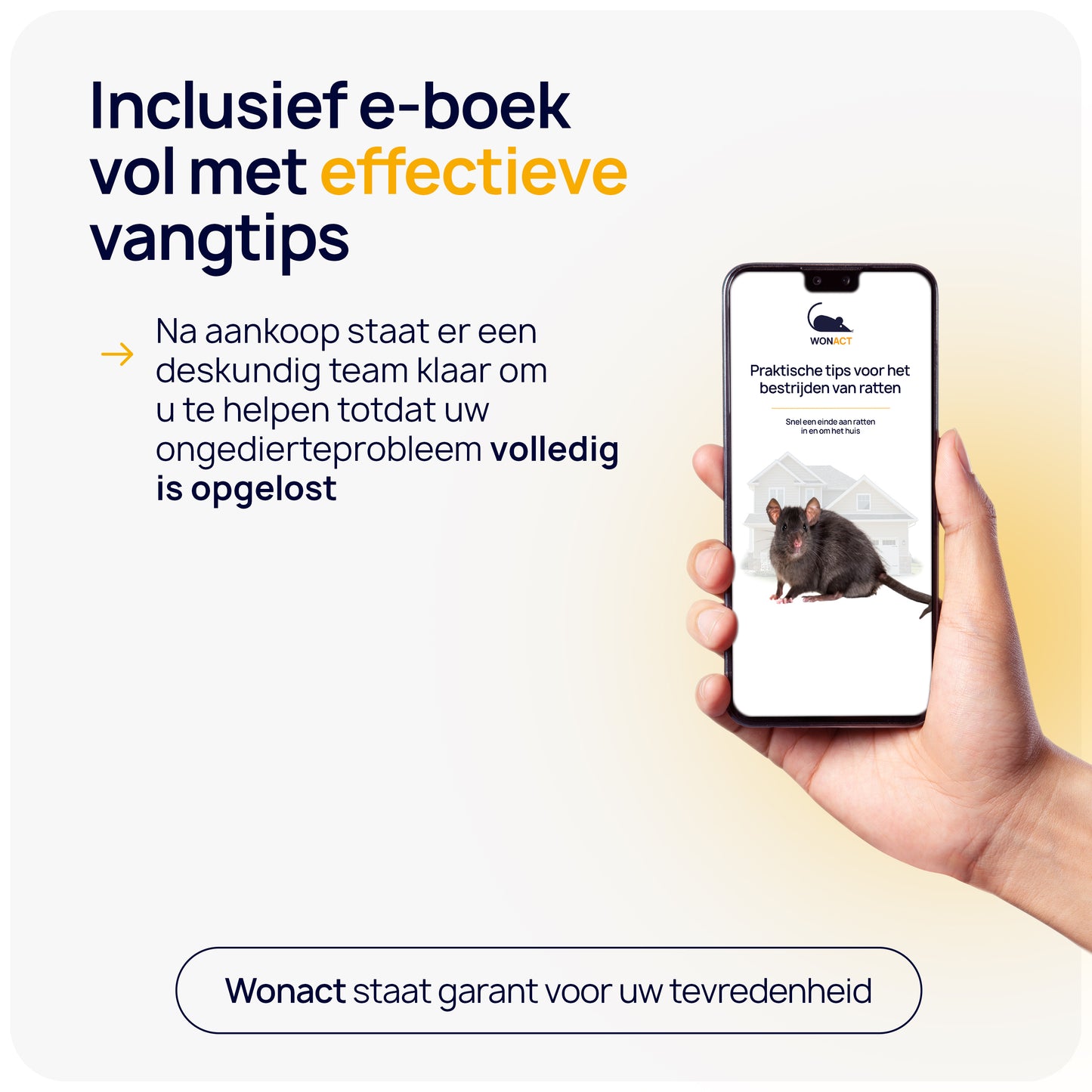 hoe ratten bestrijden