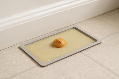 lijmplanken voor muizen