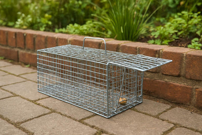 kooi voor ratten