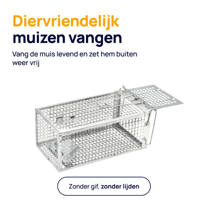 Wonact Muizenvangkooi