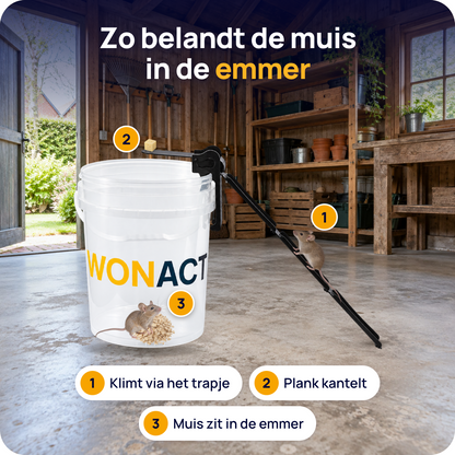 Wonact Loopplank Muizenval emmer