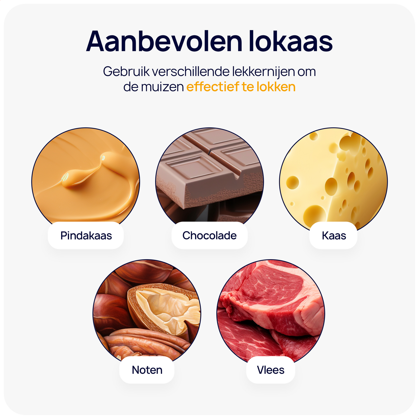 Wonact Rattenkooi