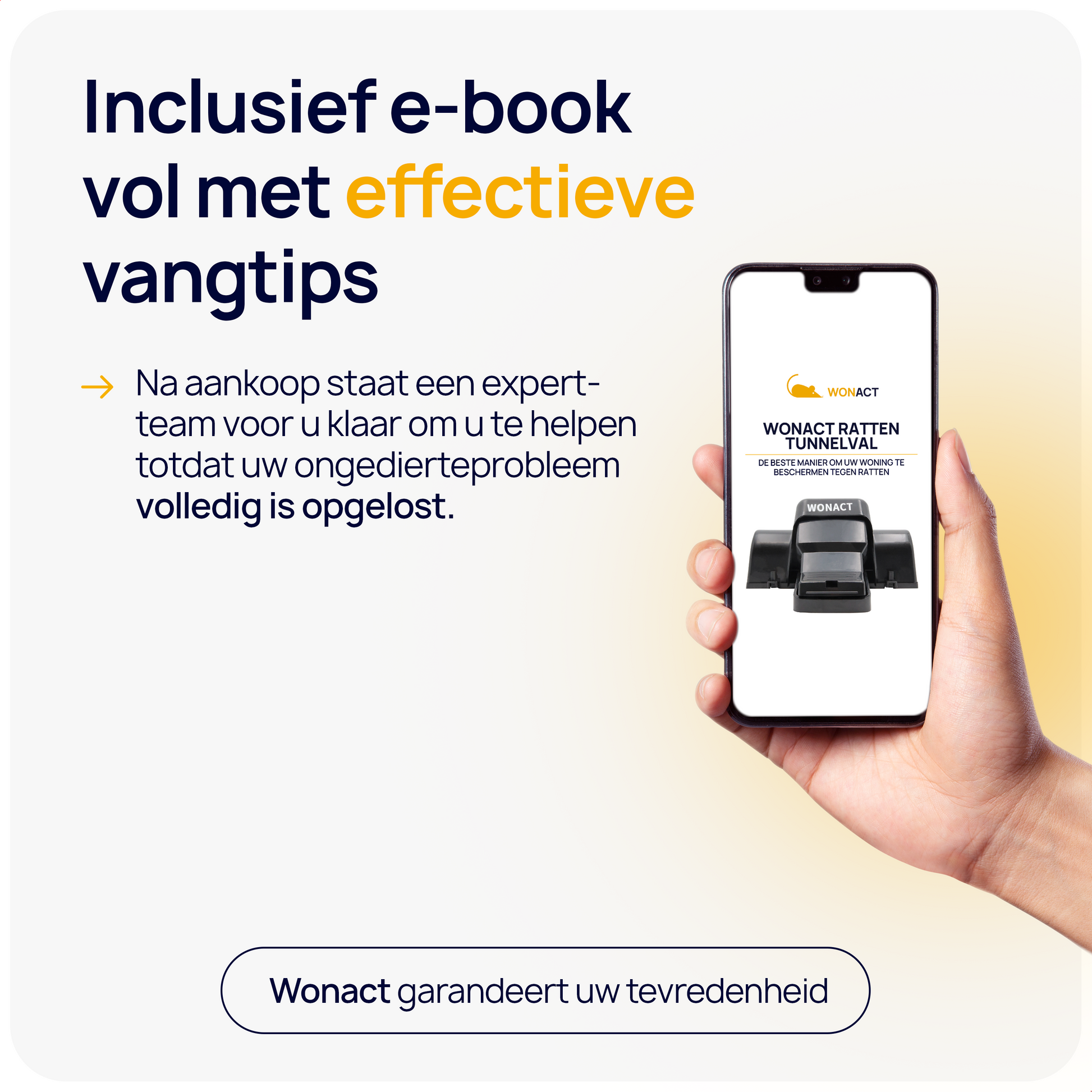 ratten bestrijden tips