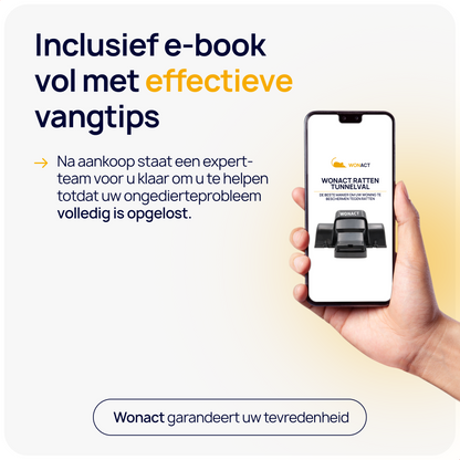 ratten bestrijden tips