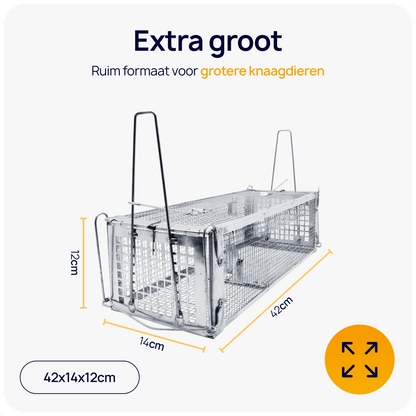rattenval groot