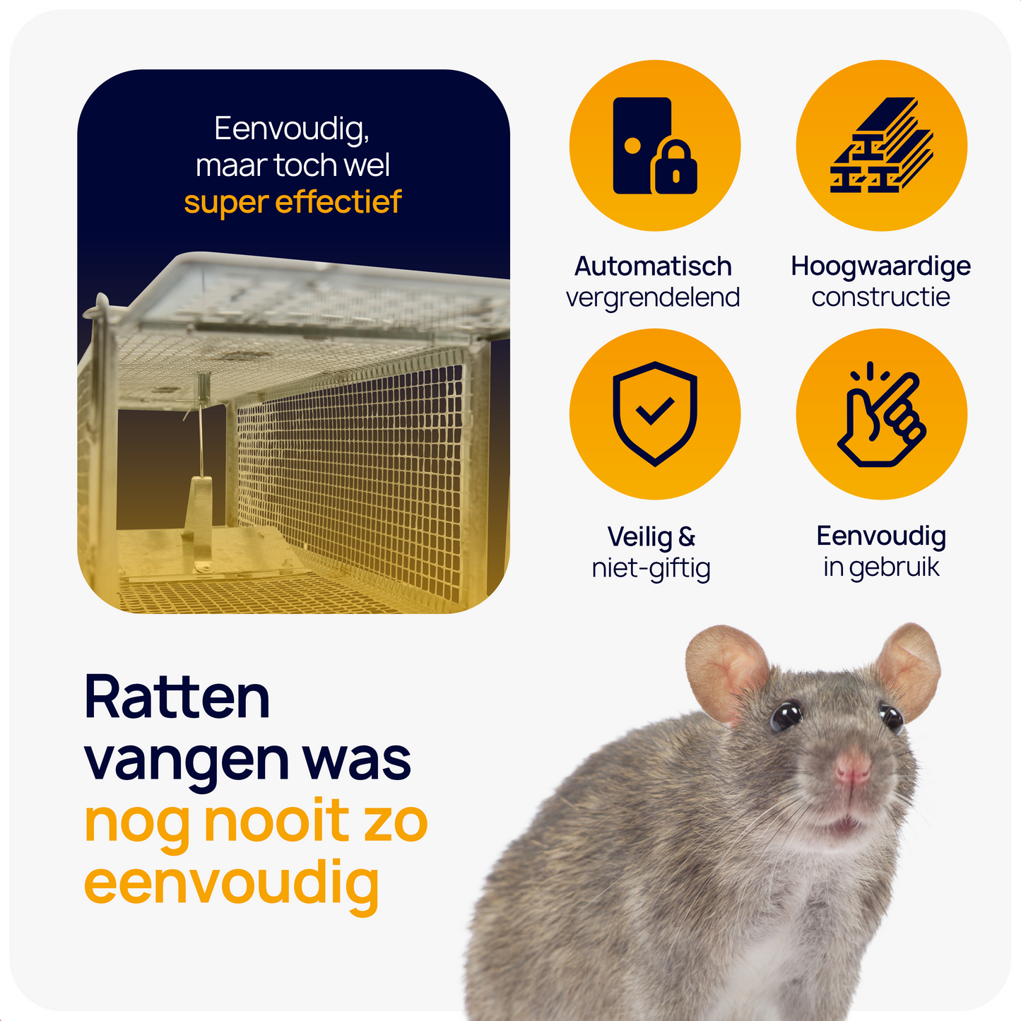 rattenval