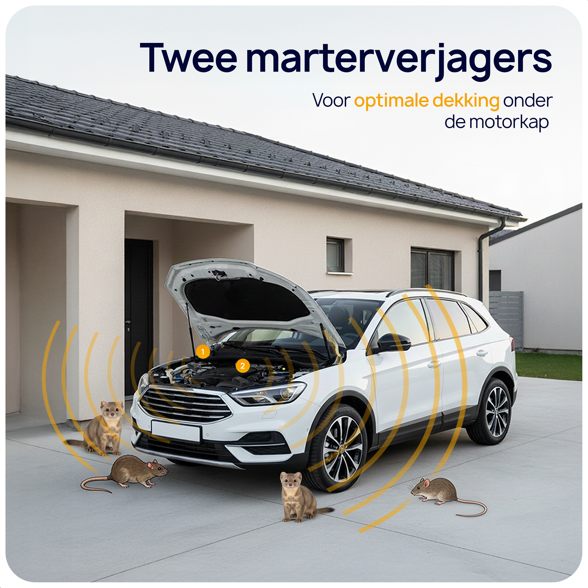Marterverjagers