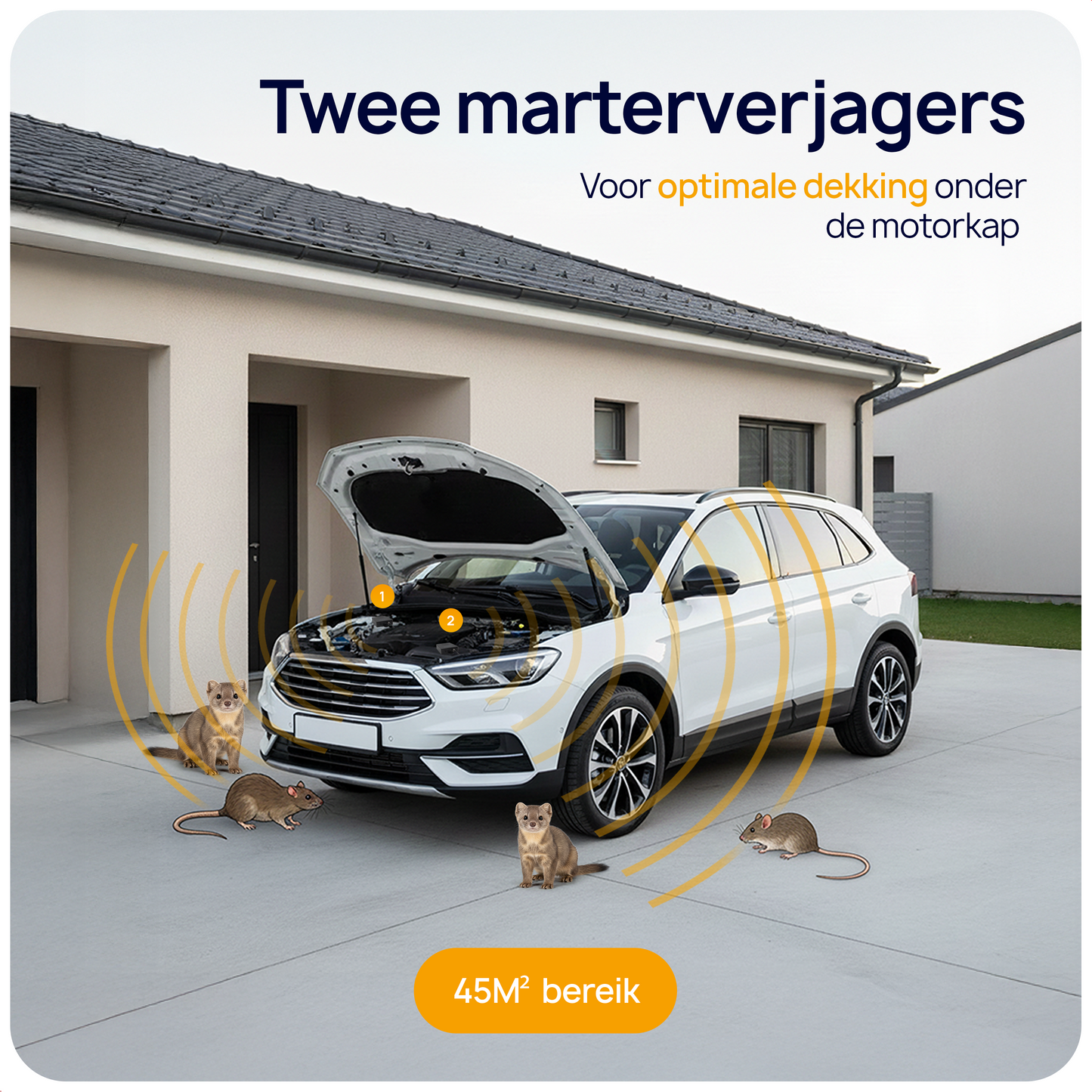steenmarter verjager huis