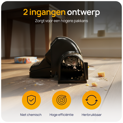 Rattenval kopen