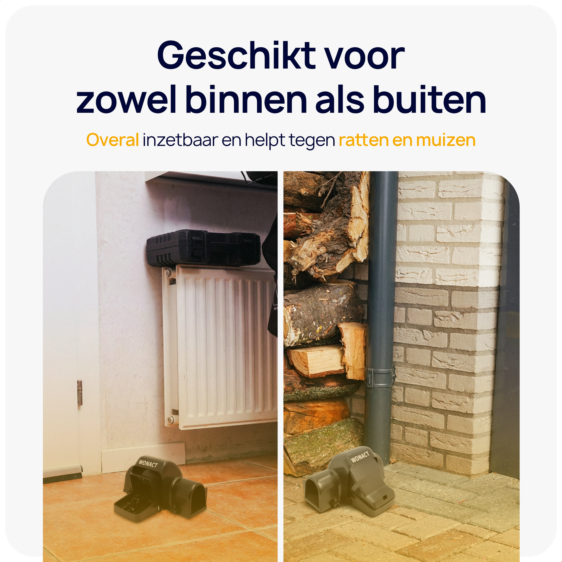 ratten bestrijden