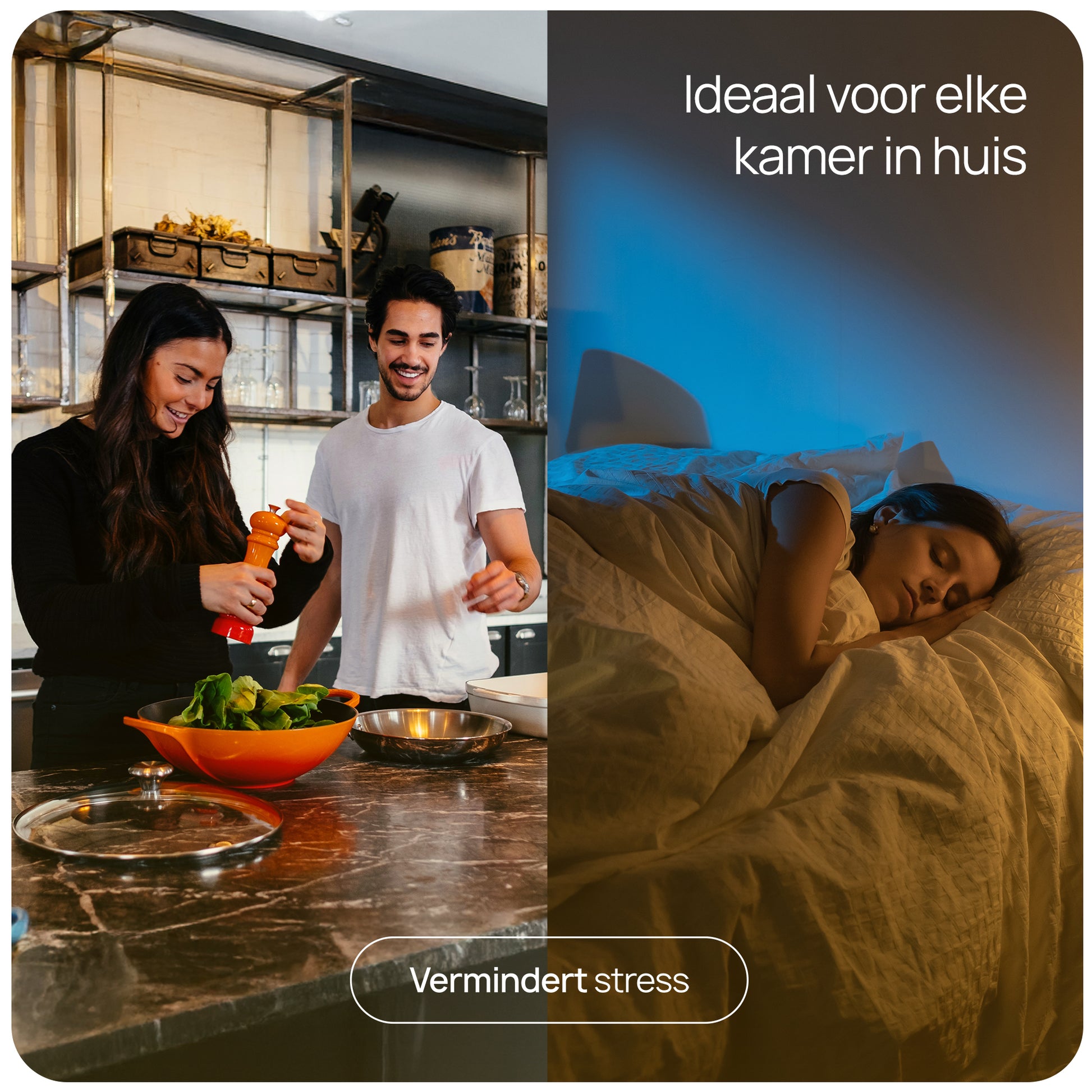 muggen en stress