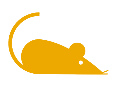 Wonact