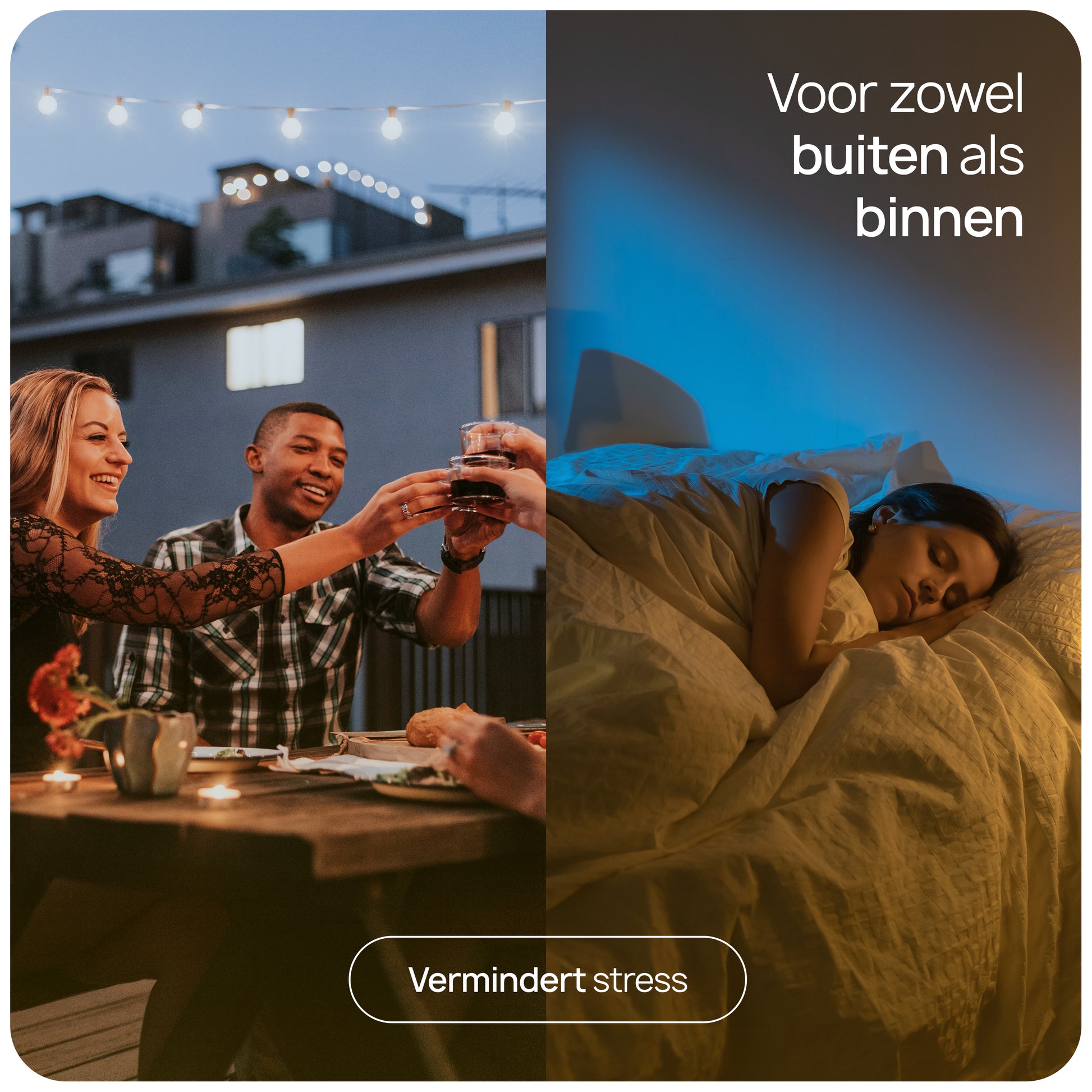Anti muggen 