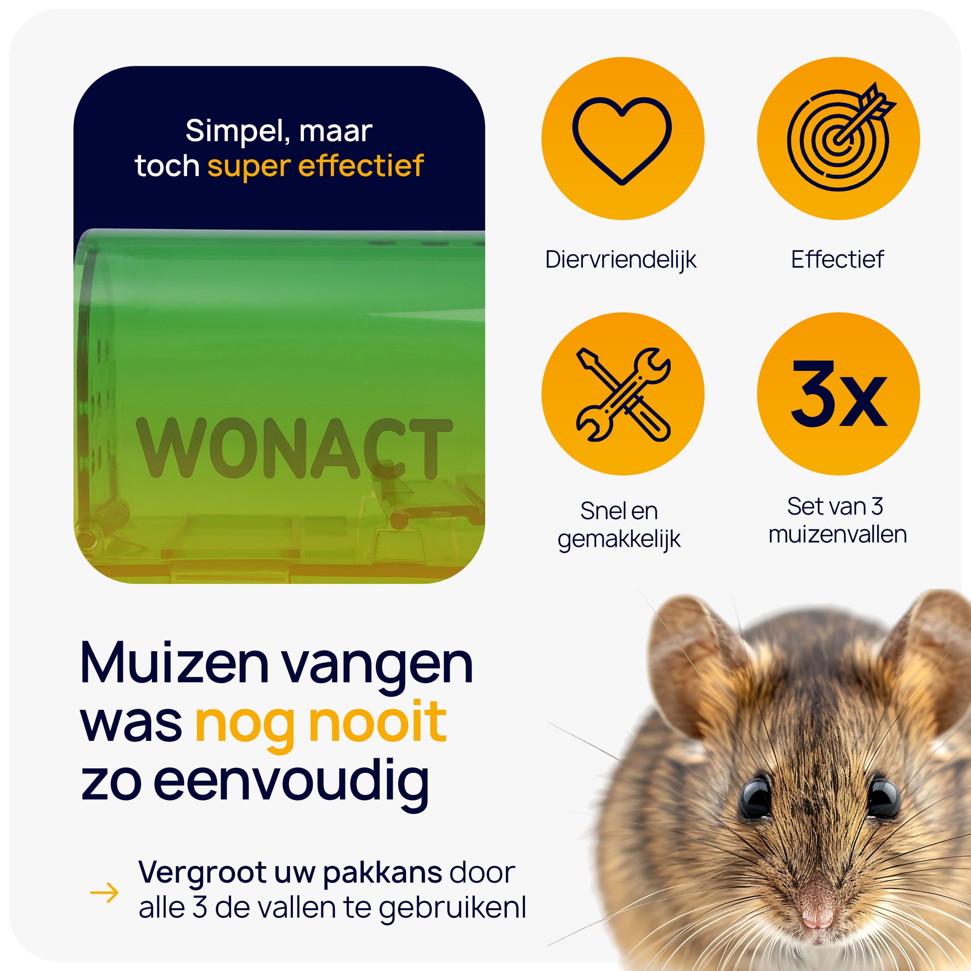 diervriendelijk muizen vangen