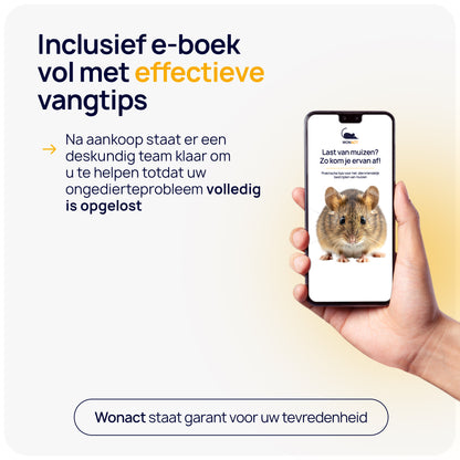 muizen vangen tips